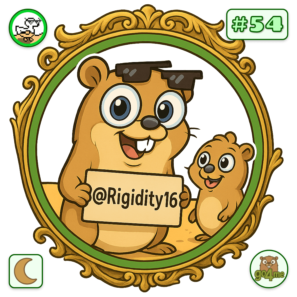 Rigidity16 avatar